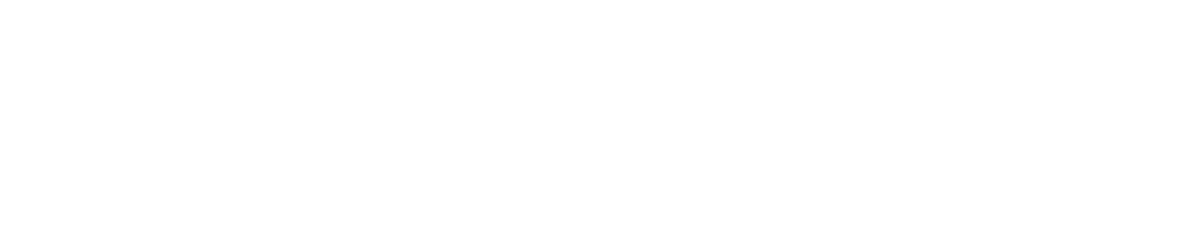 Emmdat Logo